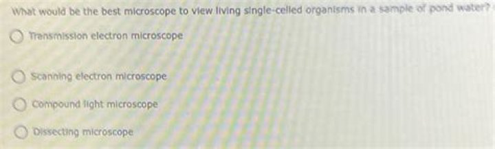 what would be the best microscope to view living single-celled organisms in a sample of pond water?